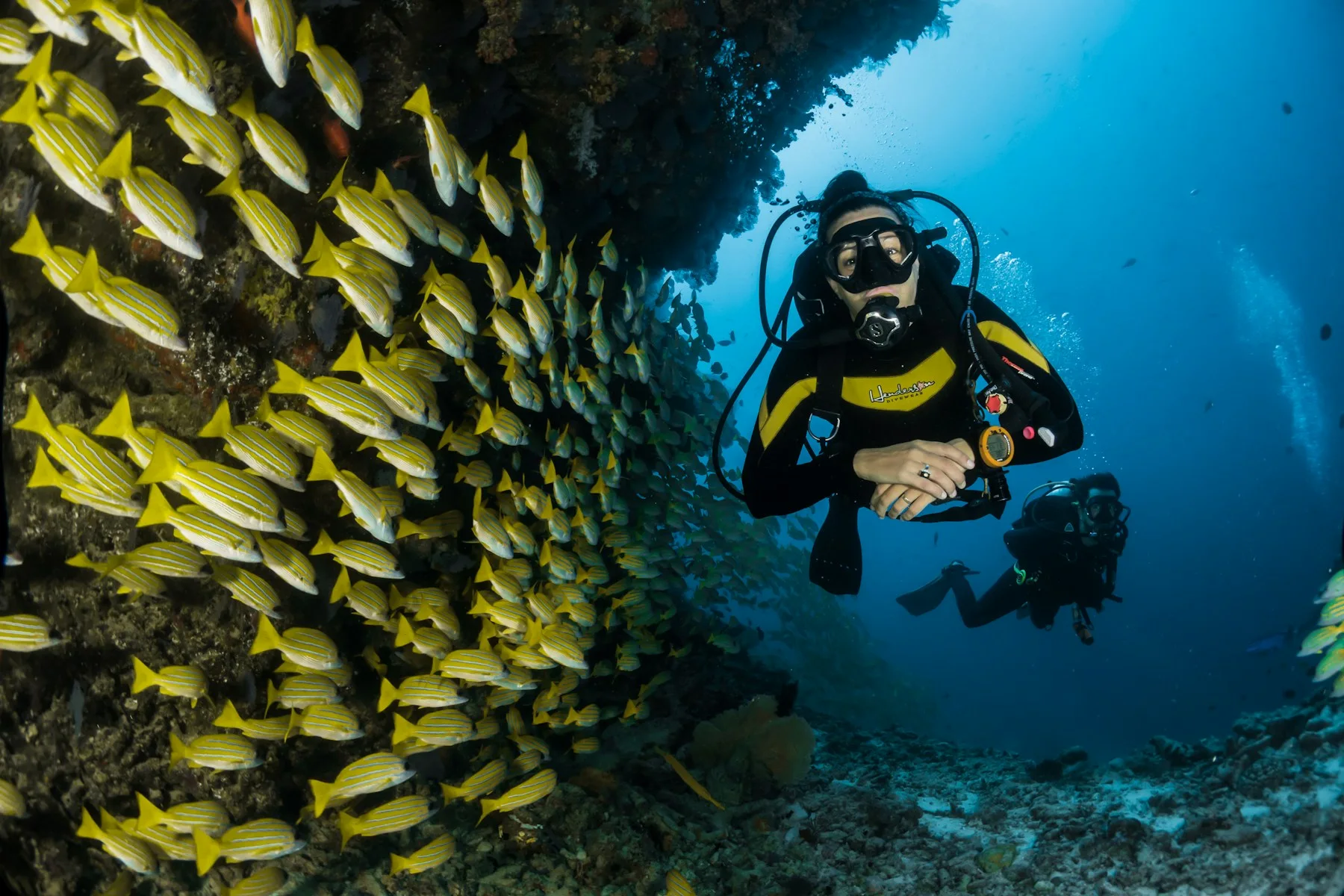 An underwater pause in clear blue water